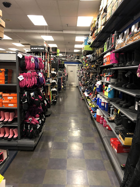 Big 5 Sporting Goods