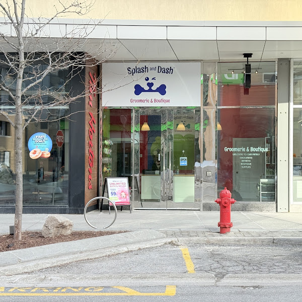 Splash and Dash Groomerie & Boutique