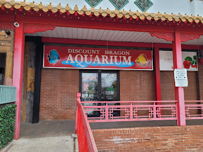 Dragon Discount Aquirium