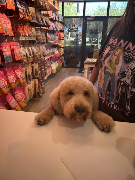 Woof Gang Bakery & Grooming Cape Coral
