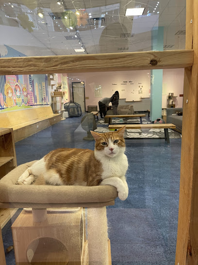 Mini Cat Town