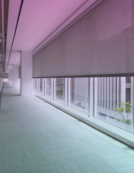 dmg Martinez Group
