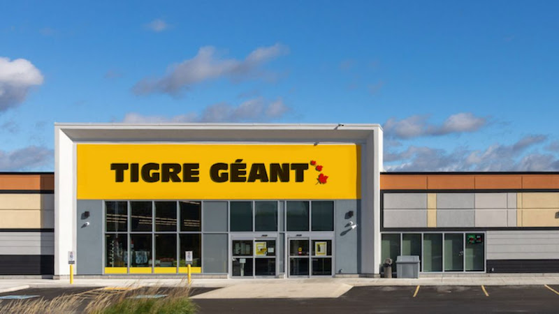 Giant Tiger