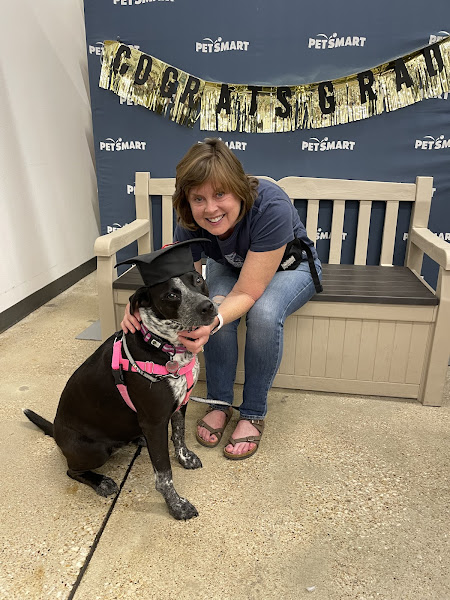 PetSmart Dog Training