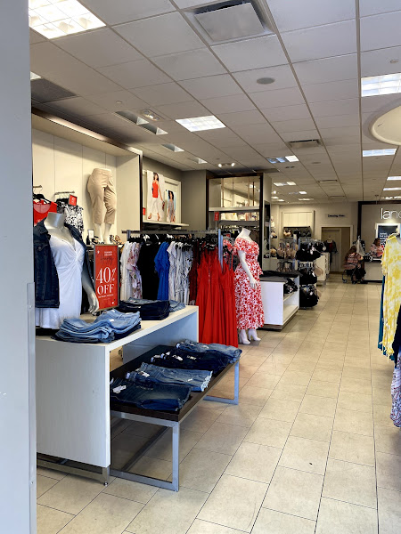 Lane Bryant