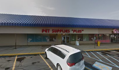 i.d. SPOT