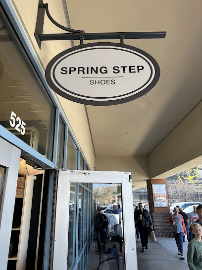 Spring Step Shoes