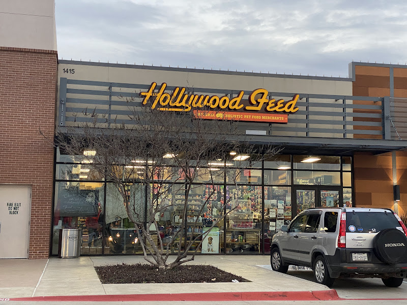 Hollywood Feed