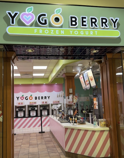 YOGO BERRY FROZEN YOGURT TRACY
