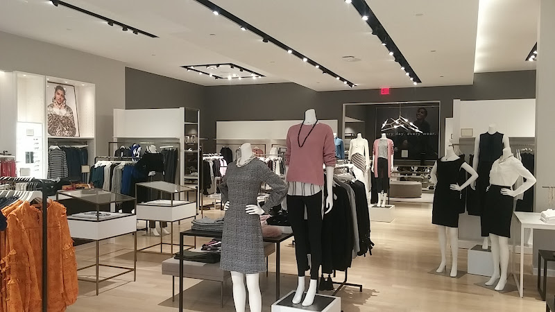 Ann Taylor
