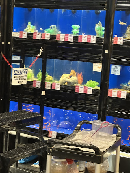 PetSmart Grooming