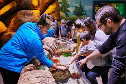 SEA LIFE Aquarium