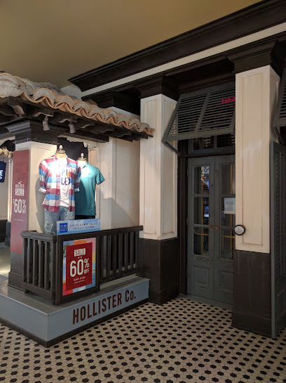 Hollister Co.