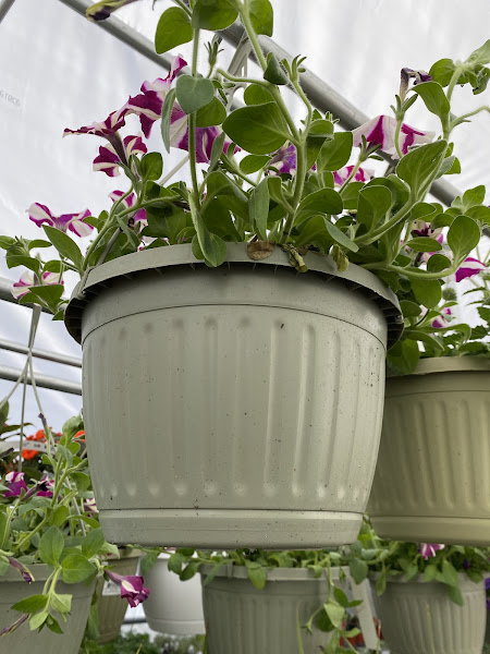 Plant Place Garden Center