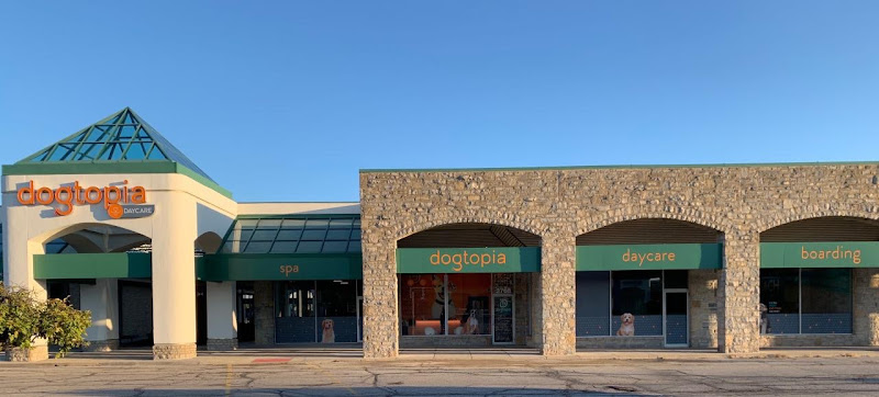 Dogtopia of Columbus - Dublin