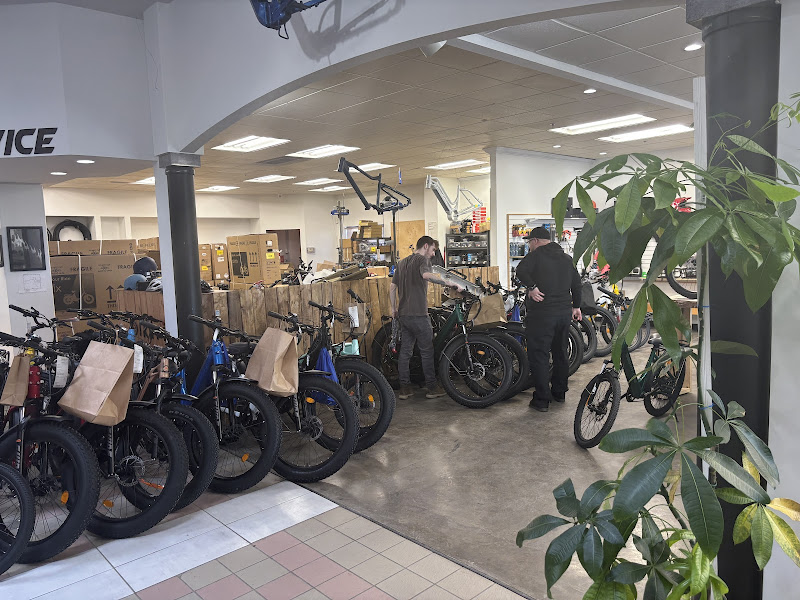 Biktrix Electric Bikes
