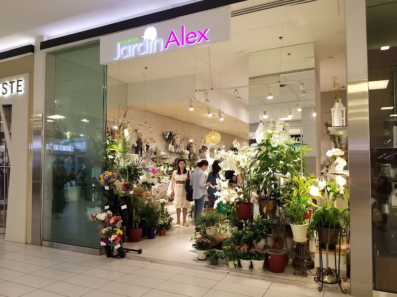 Fleuriste Jardin Alex