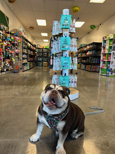 Xavis Holistic Pet Shop
