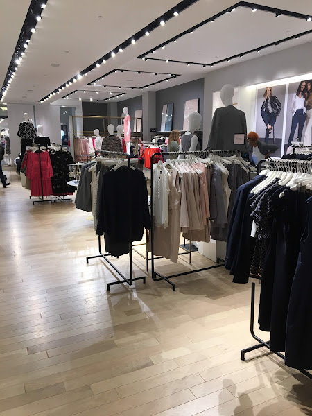 Ann Taylor