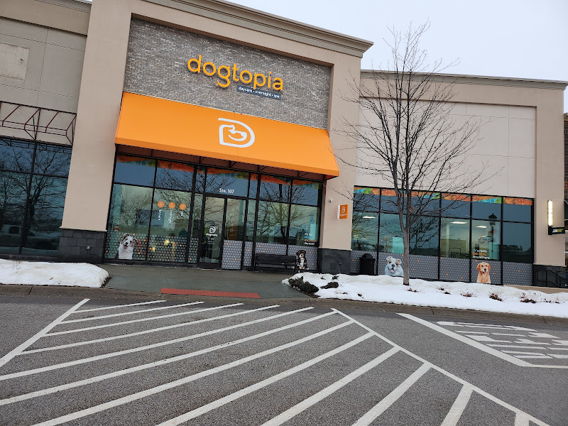 Dogtopia of Papillion-Shadow Lake