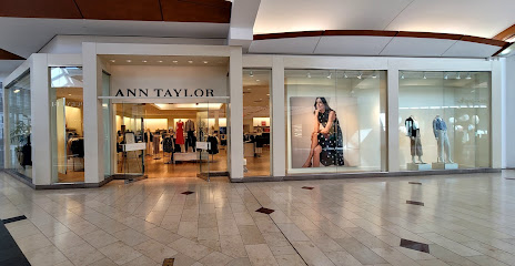 Ann Taylor