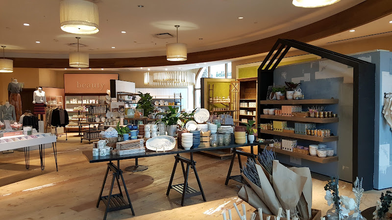 Anthropologie
