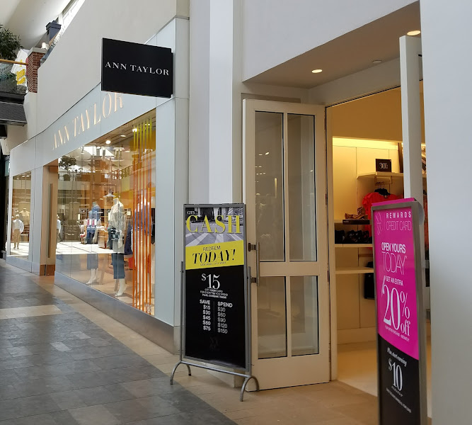 Ann Taylor