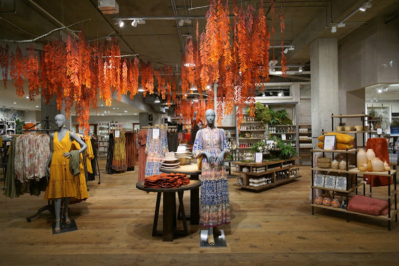 Anthropologie