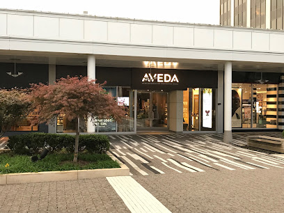 Aveda