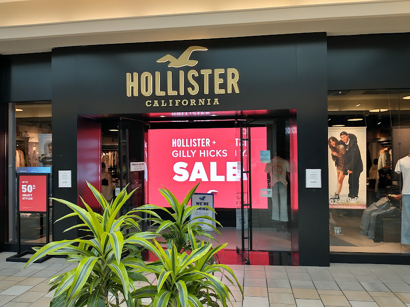 Hollister Co.