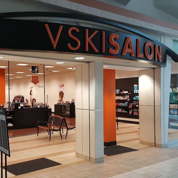 VSKI Professional