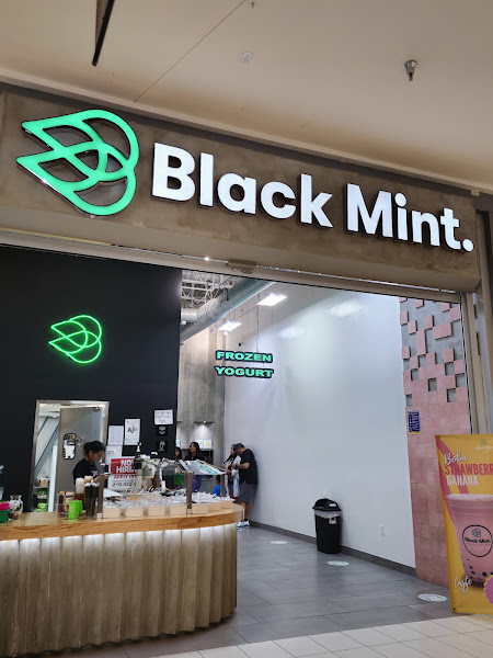 Black Mint Frozen Yogurt
