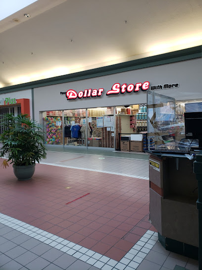 Your Dollar Store With More