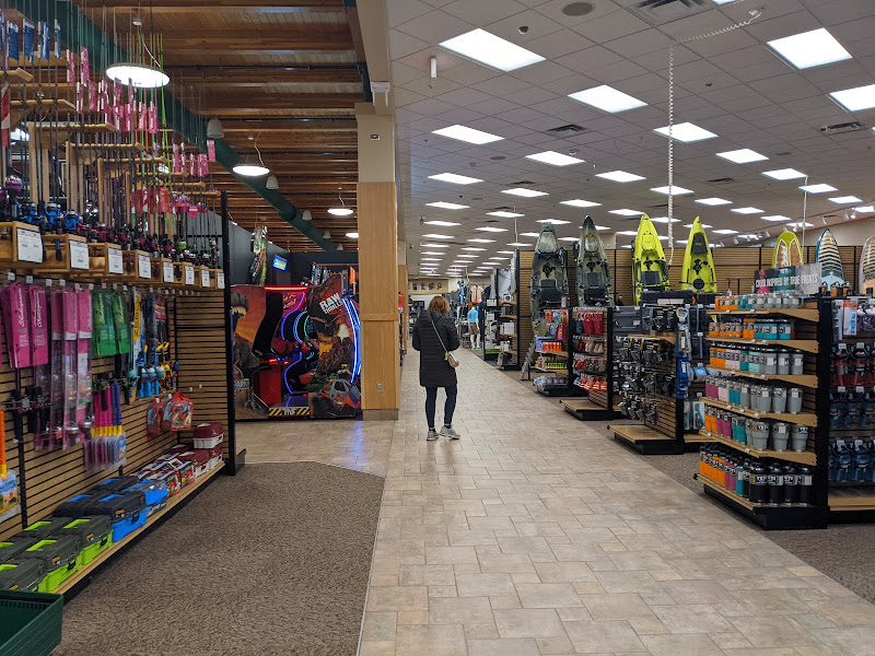 Scheels