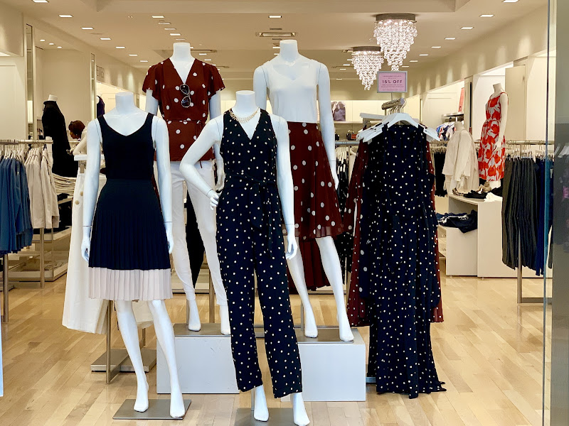 Ann Taylor