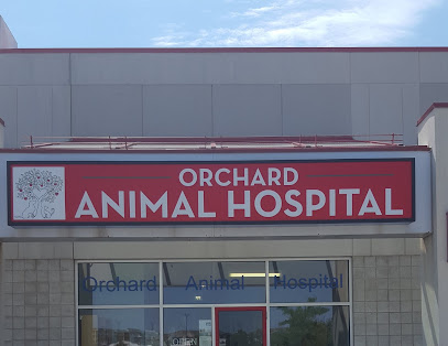 Orchard Animal Hospital
