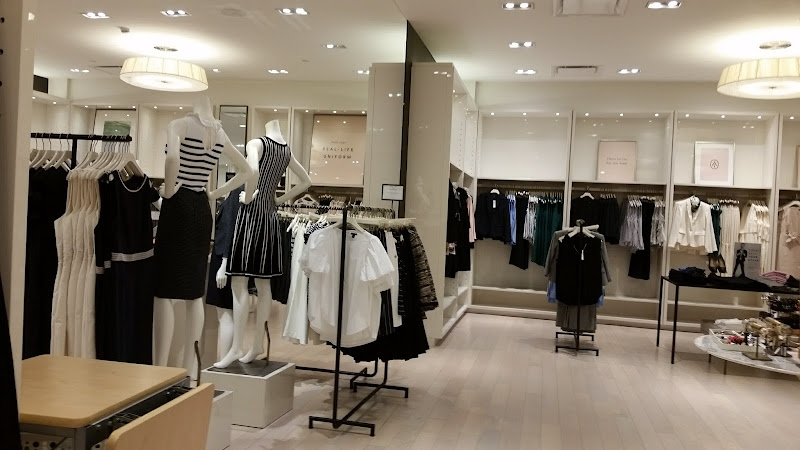 Ann Taylor