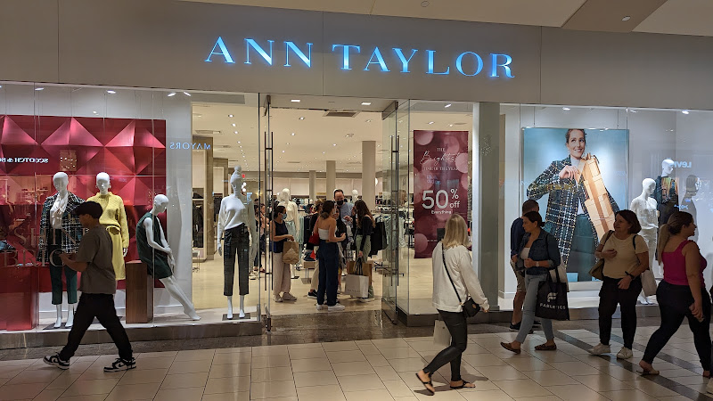Ann Taylor