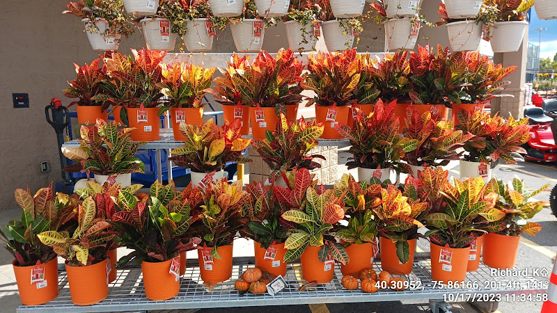 Lowe's Garden Center