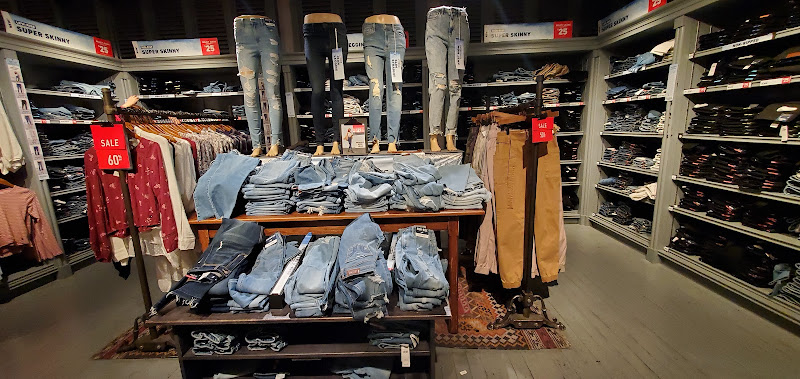 Hollister Co.