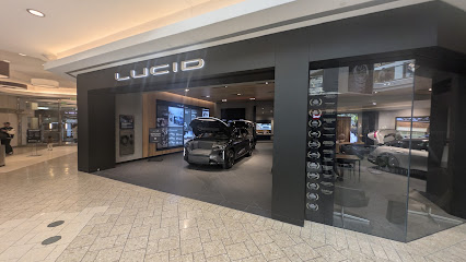 Lucid