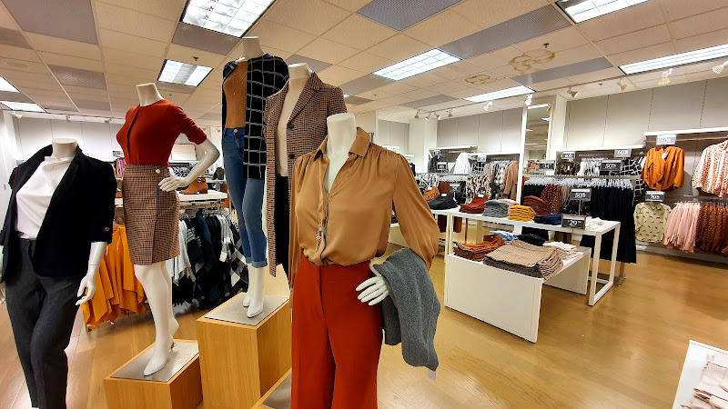 Ann Taylor