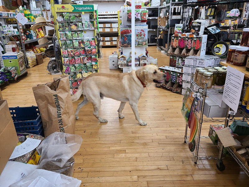 Boonsboro Road Hardware