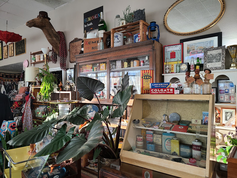 Wysteriasage & The Vintage Menagerie
