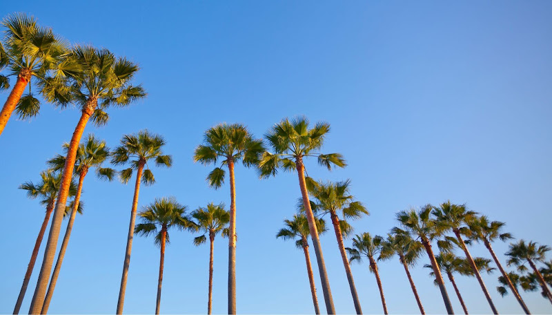 Galati Yacht Sales - Long Beach