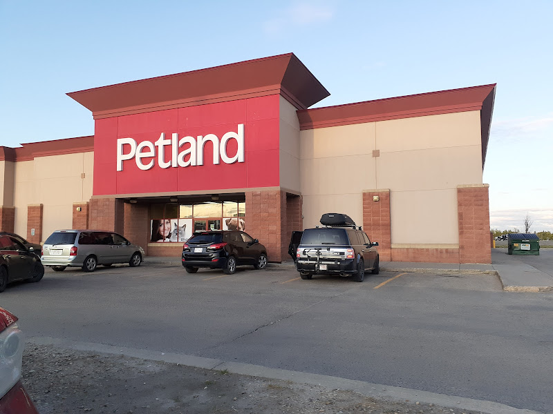 Petland