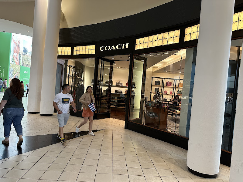 Coach