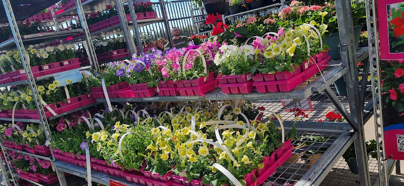 Walmart Garden Centre