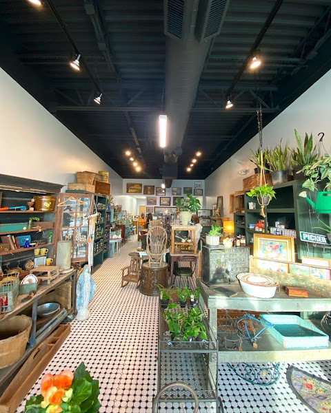 Walker CBD Store and Vintage Market