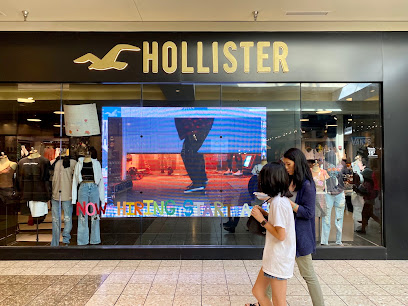 Hollister Co.